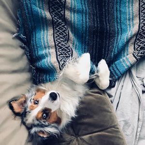 Meet your Posher, David